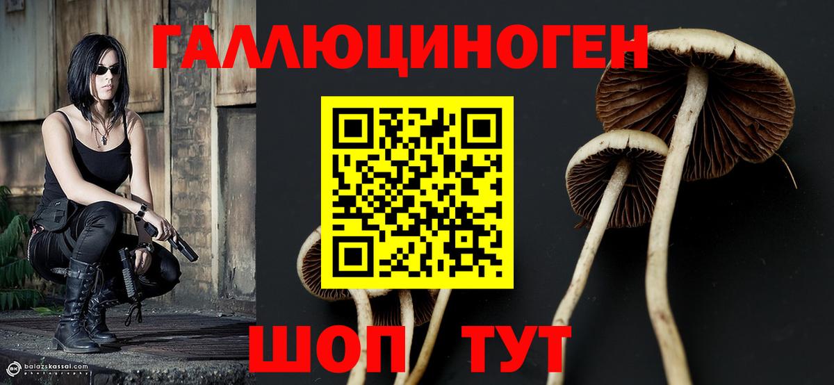 Псилоцибиновые грибы GOLDEN TEACHER Ессентуки