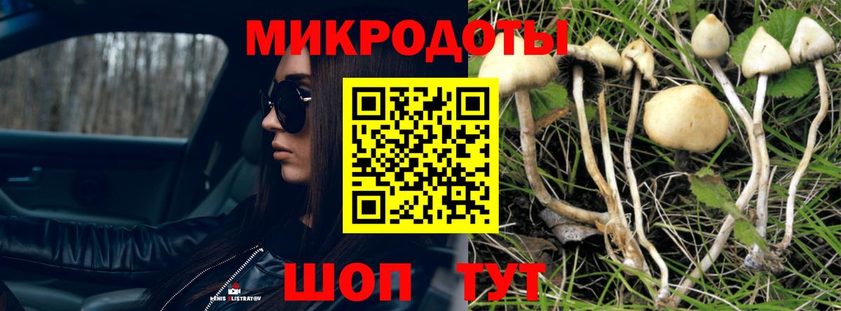 Ессентуки  Галлюциногенные грибы мухоморы  Галлюциногенные грибы ЛСД  Вход с VPN 
